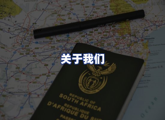 专业团队