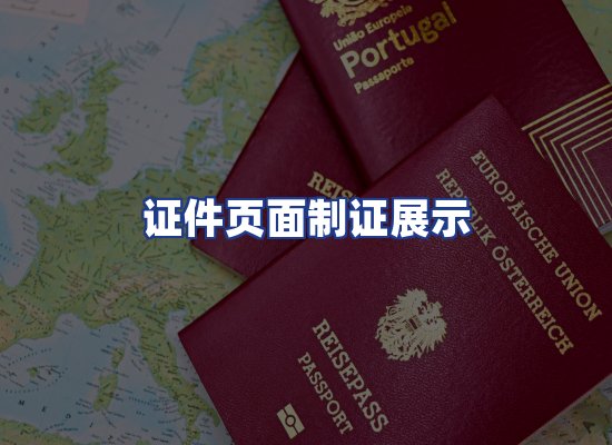 证件页面制证展示